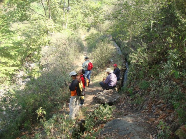 Excursion en grupo